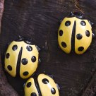 Ladybugs